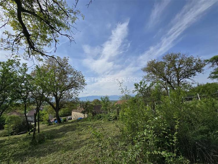 Teren intravilan cu utilitati  in Sona - 3