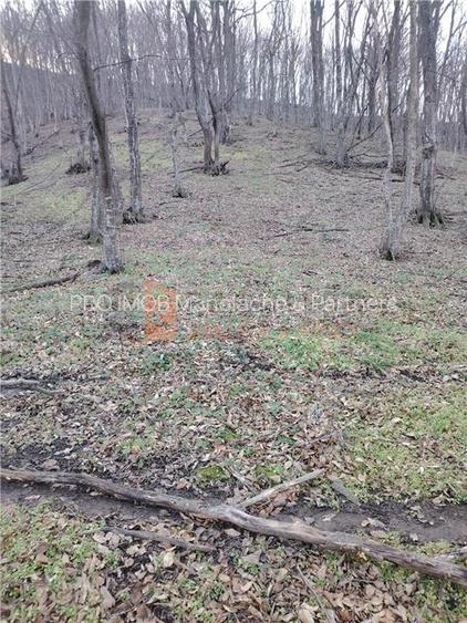 Teren intravilan zona Monteoru - 2