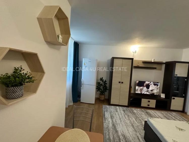 Apartament cu 1 camera in Podul De Piatra - 4