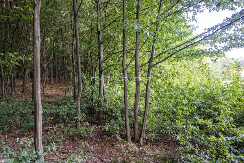 Teren intravilan 3300mp- Vulcan Brasov langa Lac si padure - zona turistica - 16