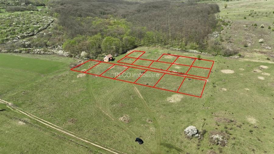 RECO, teren intravilan, Ineu,Bihor - 2