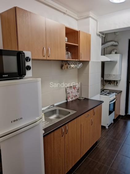  Proprietar, Dau în chirie apartament cu 1 cameră, Mănăștur, Flora Parc  - 6