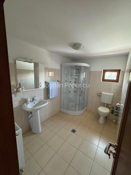 Vand Casa + Teren, Lunguletu/Dambovita, P+1, Toate Utilitatile, Complet Mobilata - 10