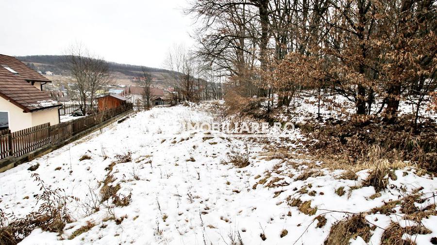 Teren 800 mp.  36 euro mp.Corunca zona Toyota - 7