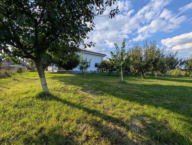 Proprietate rezidențial-comercială, 1.400 mp teren, Fundătura Cluj - 3