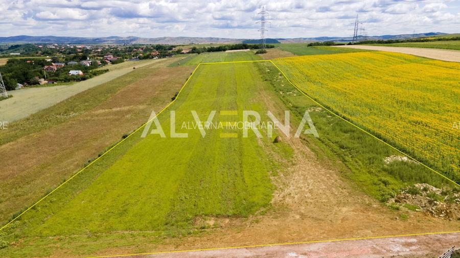 INVESTITIE! Teren constructii 11.600 mp | front 45.7m | Jucu de Sus - 3