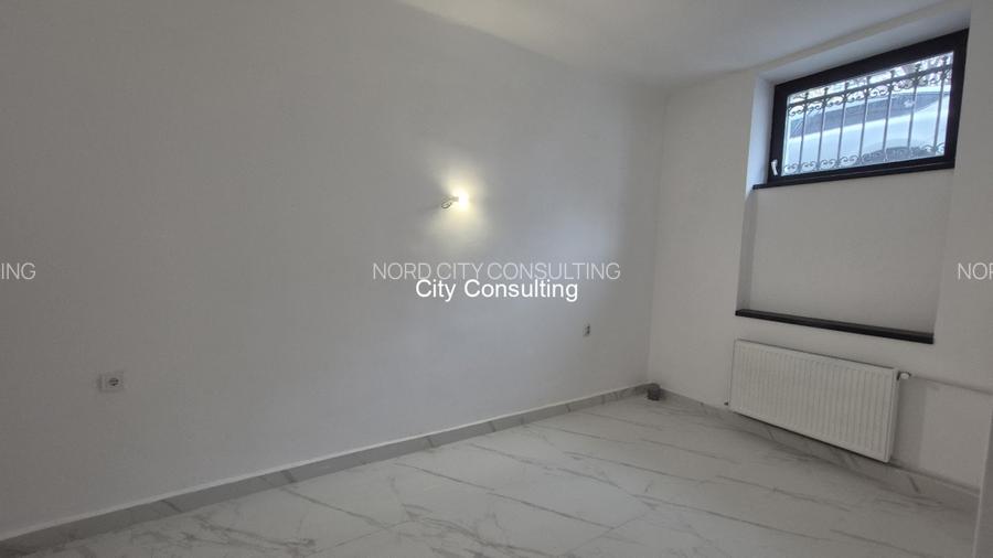 Inchiriere vila reprezentativa Cismigiu Sala Palatului - 12