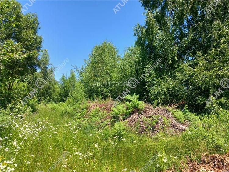 Teren intravilan 500 mp in Porumbacu de Sus, Sibiu - 7