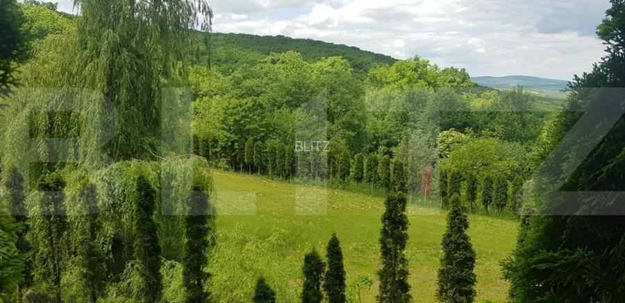 Investitie ! Casa de vacanta 350 mp utili ,teren 3000 mp in Faget ! - 4