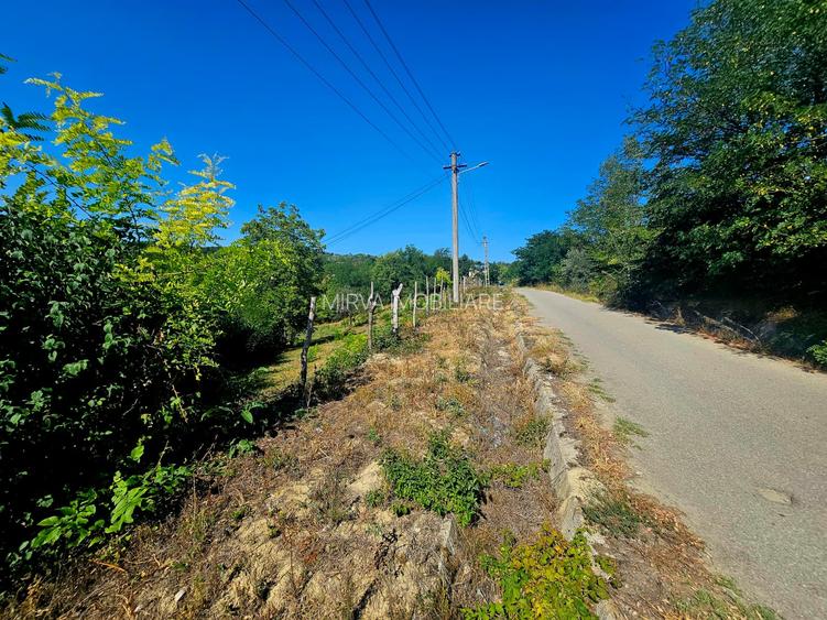 Teren intravilan 2322 mp, Păcuri – vedere superbă spre pădure! - 3