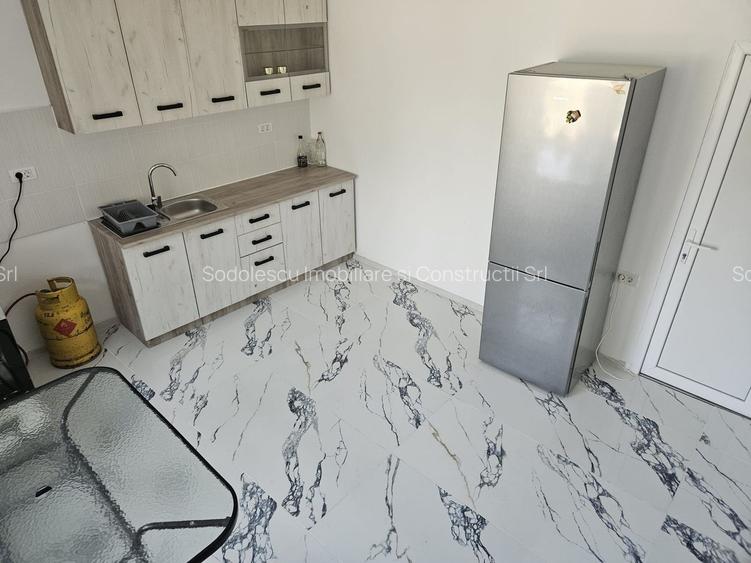 Casa Beregsaul mic+teren 1550 mp - 14