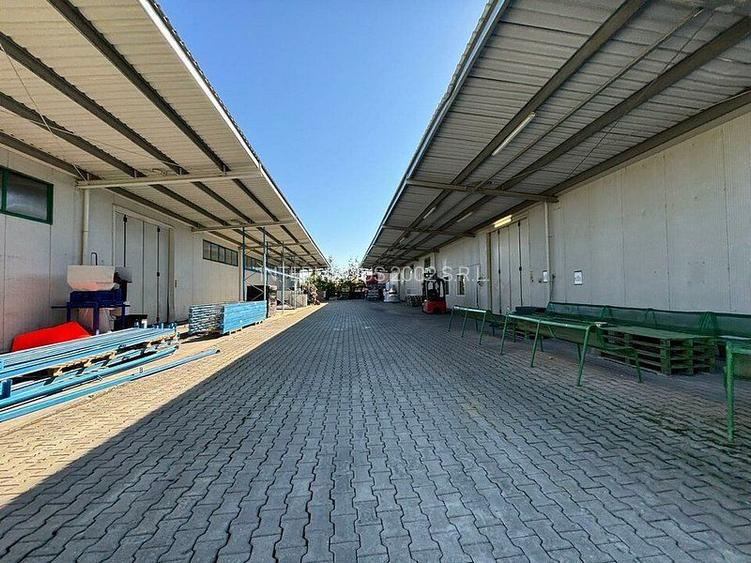 Hala industrial de 2000 mp cu autorizatie ISU Cat D - 7