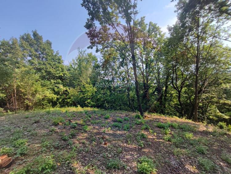 Teren intravilan 756mp si cota parte de drum Baia Mare / Str. Viilor - 3