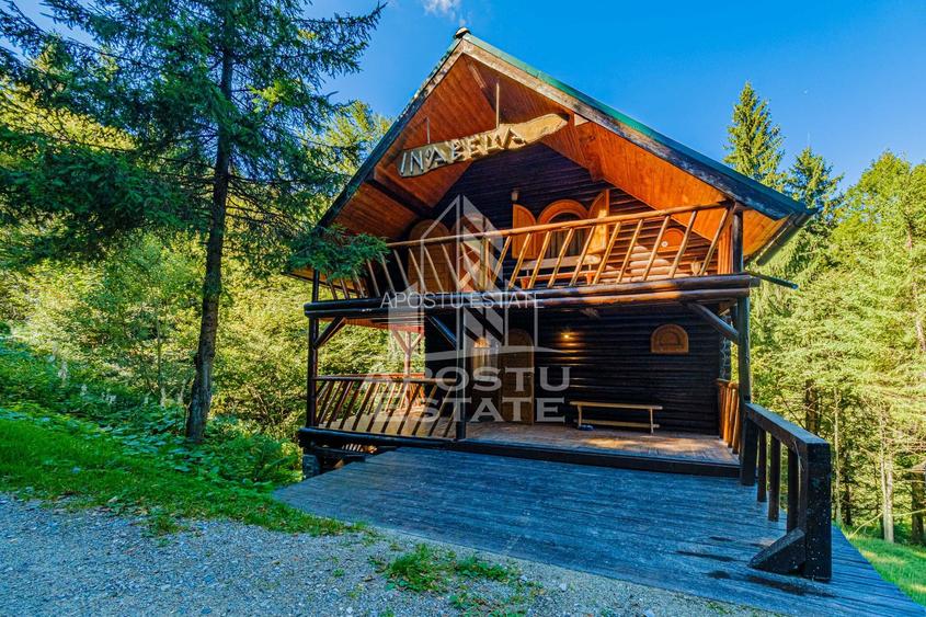 Pensiune, casa de vacanta, 6 camere, statiunea Rausor din Hunedoara - 7