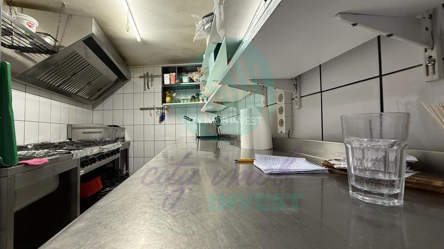 Grădina Icoanei – vilă cu potențial multiplu - 12