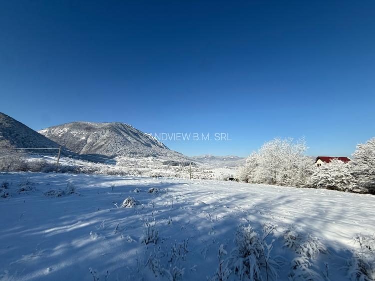 Teren intravilan 500 sau 1000 mp Bran-Tohanita la dum asfaltat - 2