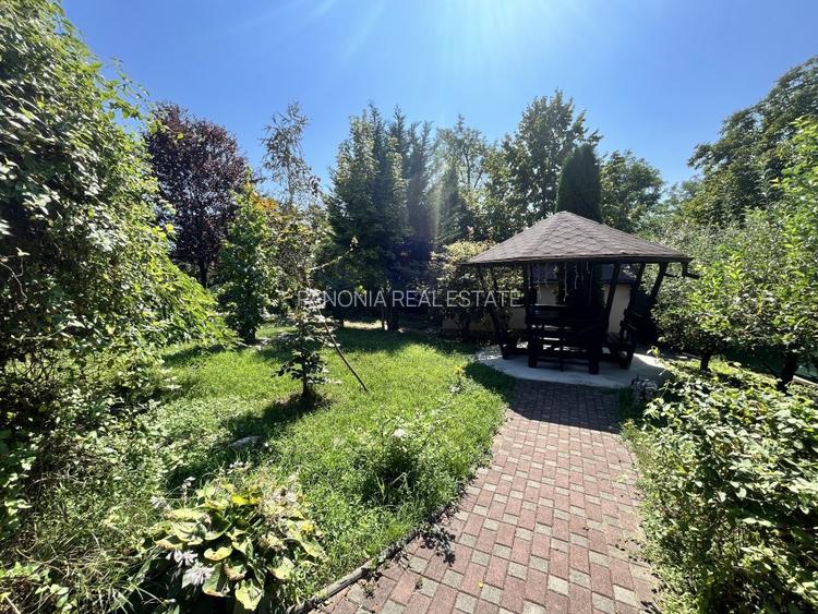 Conacul Mura in Baile Olanesti, O Bijuterie Naturala - 2