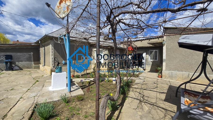 MIHAIL KOGALNICEANU-CASA BATRANEASCA ,TEREN 1975 MP - 15