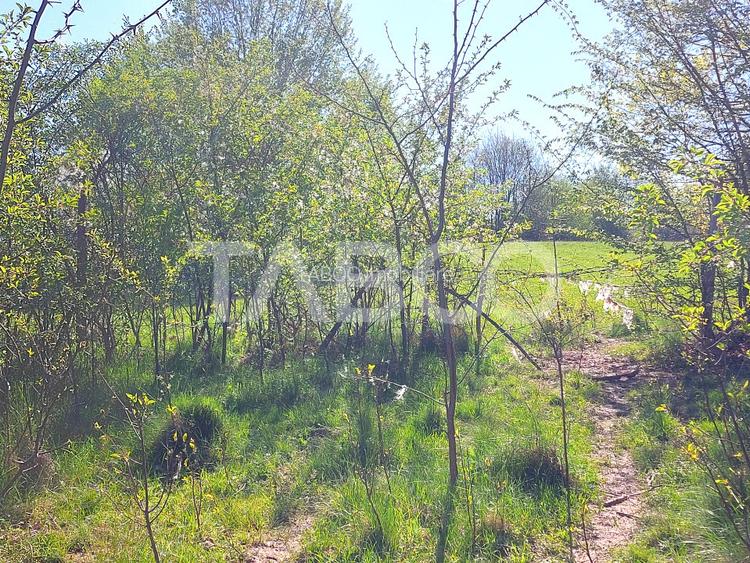 Teren intravilan 4280 mp acces la drum si utilitati zona deosebita - 4