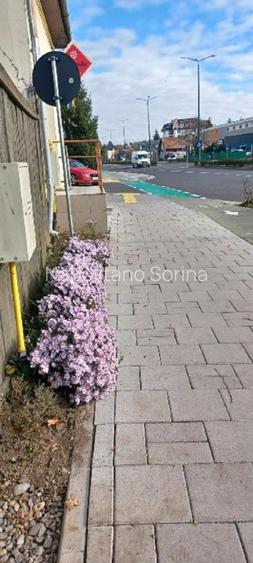 Vand 3413 mp teren intravilan - 13