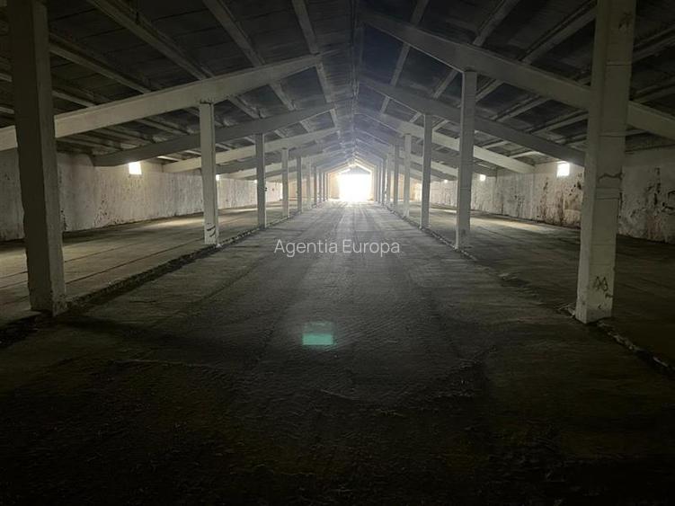 Hale de inchiriat localitatea M. Kogalniceanu Tulcea - 6