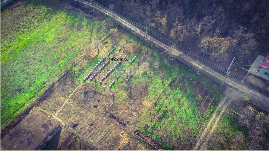 Teren Intrarea Cotul Morii, comuna Victoria Iasi - 3