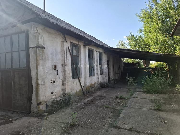 Ferma cu teren agricol de vanzare in Nadlac - 16