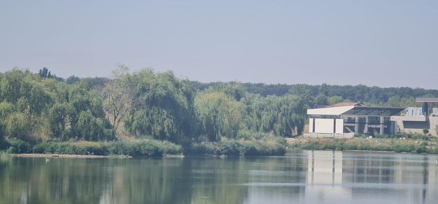 Teren Corbeanca Tamasi vsv de Paradisul verde 16000 mp deschidere lac