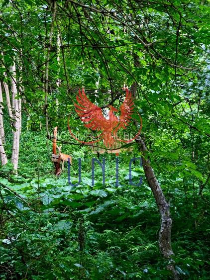 18000 mp de natura pura ,Lupeni, langa Straja - 2