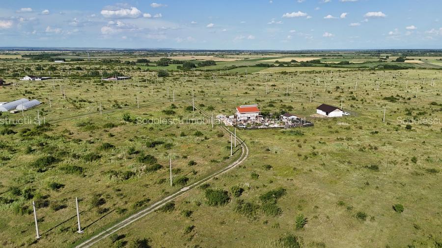 Terenuri zona  MOSNITA NOUA -  ALBINA . - 27