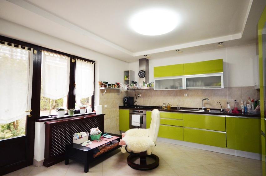 Bucium | locuinta impunatoare | refugiu al linistii si rafinamentului - 7