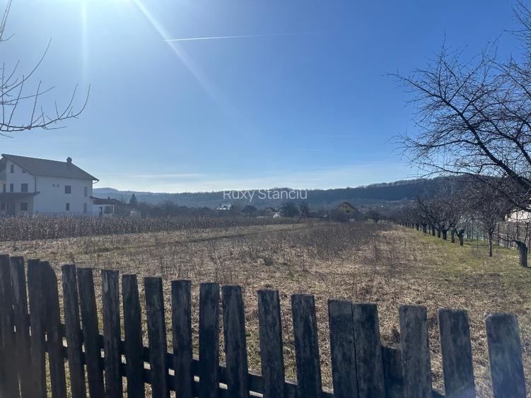 vânzare – 2.581 mp, zonă liniștită, aproape de Curtea de Argeș - 3