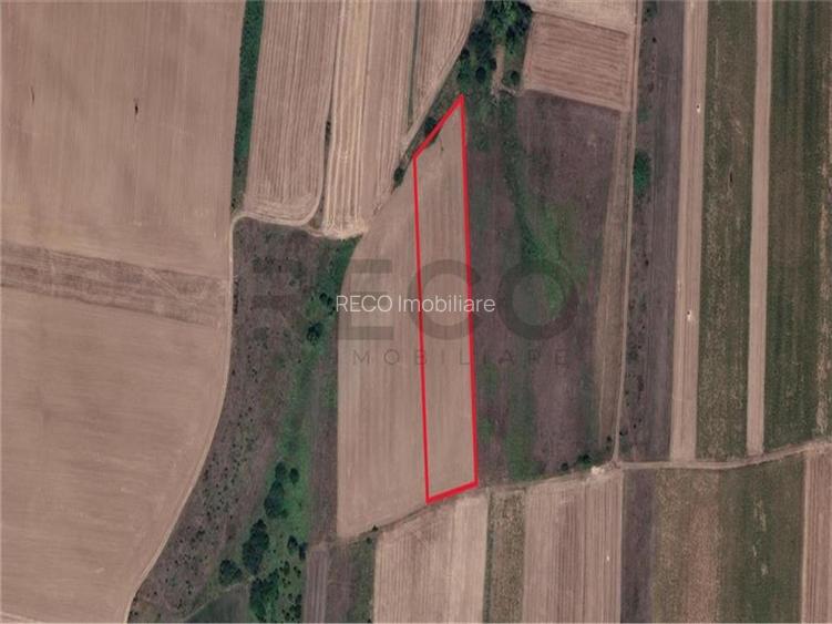 Teren mare extravilan in Uileacu de Munte - 3