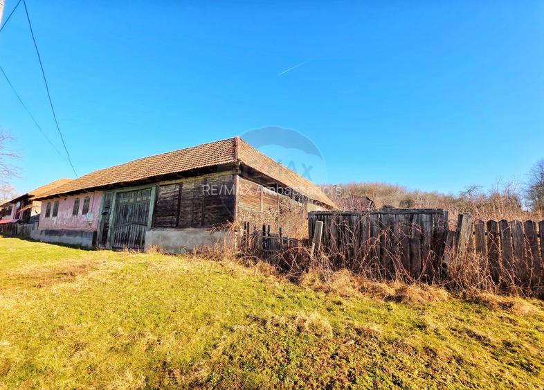 Moștenirea din Iersnic: poveste, utilități urbane și liniste banateana - 5