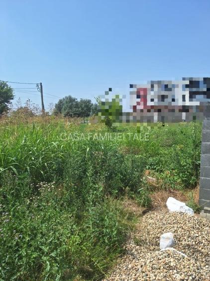 Ocazie!!! 585 mp teren intravilan 2 fronturi stradale Dumbravita -IKEA - 3