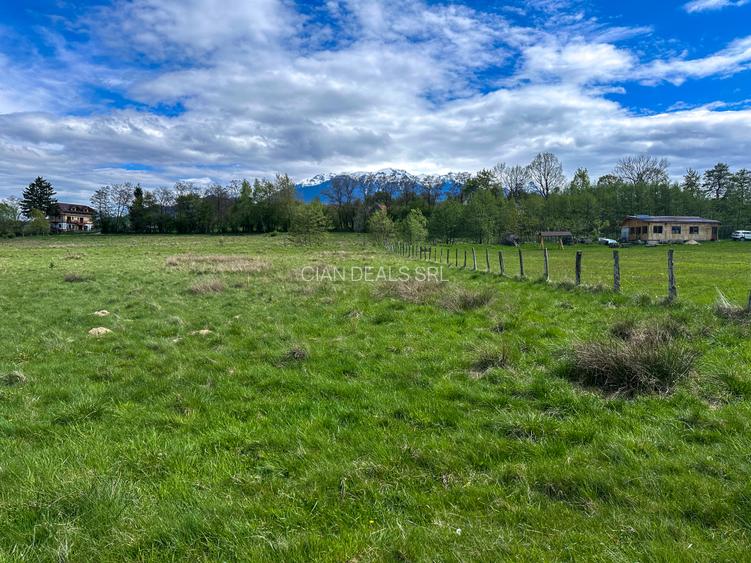 Teren Bran Zarnesti 3 km Castelul Bran 25 km Brasov - 4