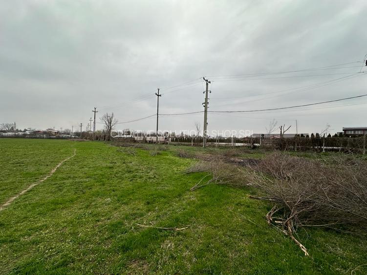 Teren intravilan Mogosesti | Giurgiu | 370.000mp | Adunatii Copaceni - 8