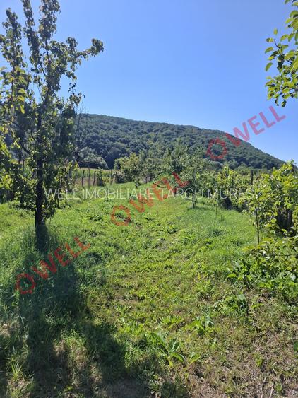 De vânzare casă familială situată în Miercurea Nirajului, zona Sântandrei! - 4