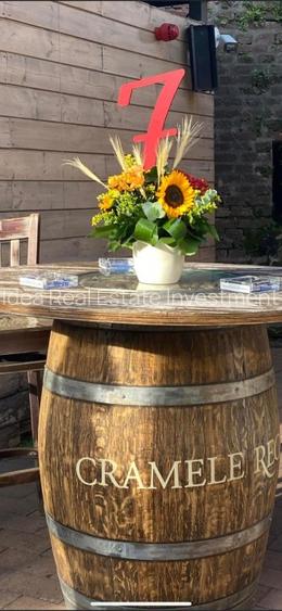 Proprietate exclusivista ideala ca proiect pentru investitie!! - 10