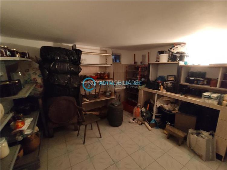 Royal Imobiliare - vanzari vile zona Traian - 24