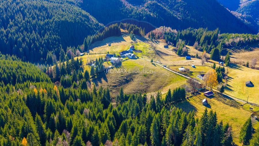 COMISION 0% Teren 13,800mp Fundatica / Intravilan - 10