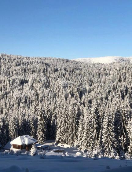 Afacere la cheie pensiune complet utilata si mobilata,energie verde, natura pura - 8