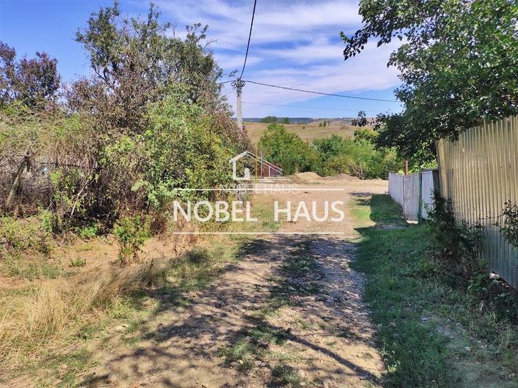 Teren 6200 mp, intravilan, sat Bogesti, comuna Pogana - 6