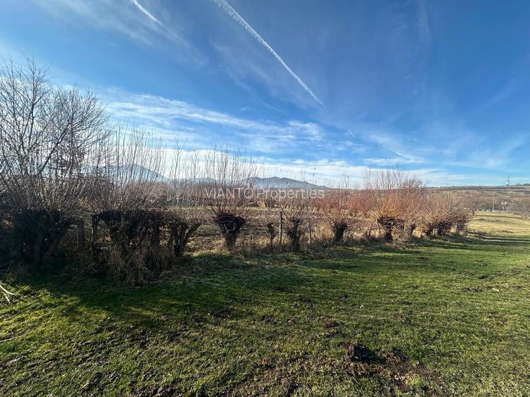 TEREN INTRAVILAN 1080 MP IN RASINARI - 3