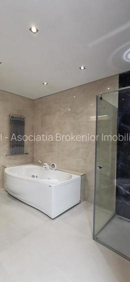 Dorobanti Penthouse supr. 235mp terasa 130mp - 27