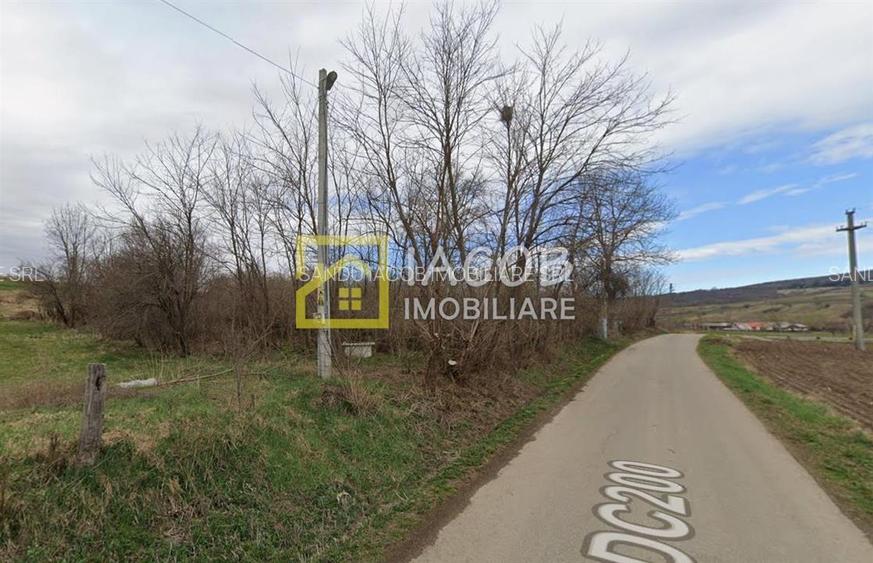 Teren intravilan, sat Petricica, comuna Strugari, Bacau - 3