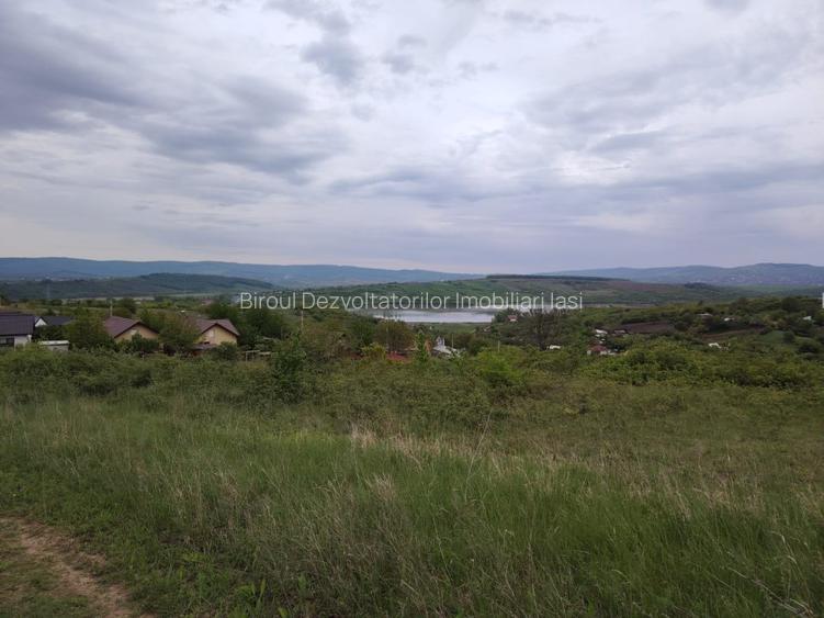 Teren intravilan 1800 mp, Centura-Ciurbesti-dubla deschidere - 5