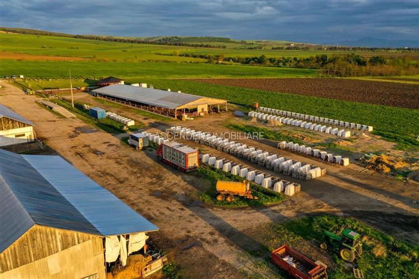 Ferma+Anexe specifice+ Constructie rezidentiala+222.000 mp domeniu - 17