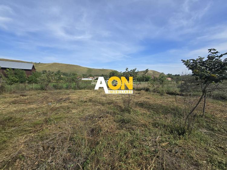 Casa 3 Camere, 1100mp Teren cu Garaj, Gura Ariesului - 10