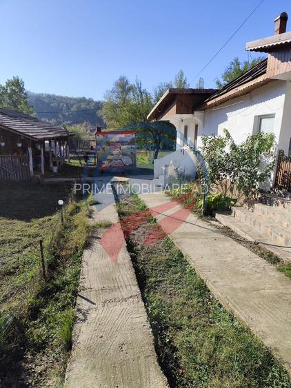 Casa cocheta la 30 minute de Craiova- Cornița Dolj - 12